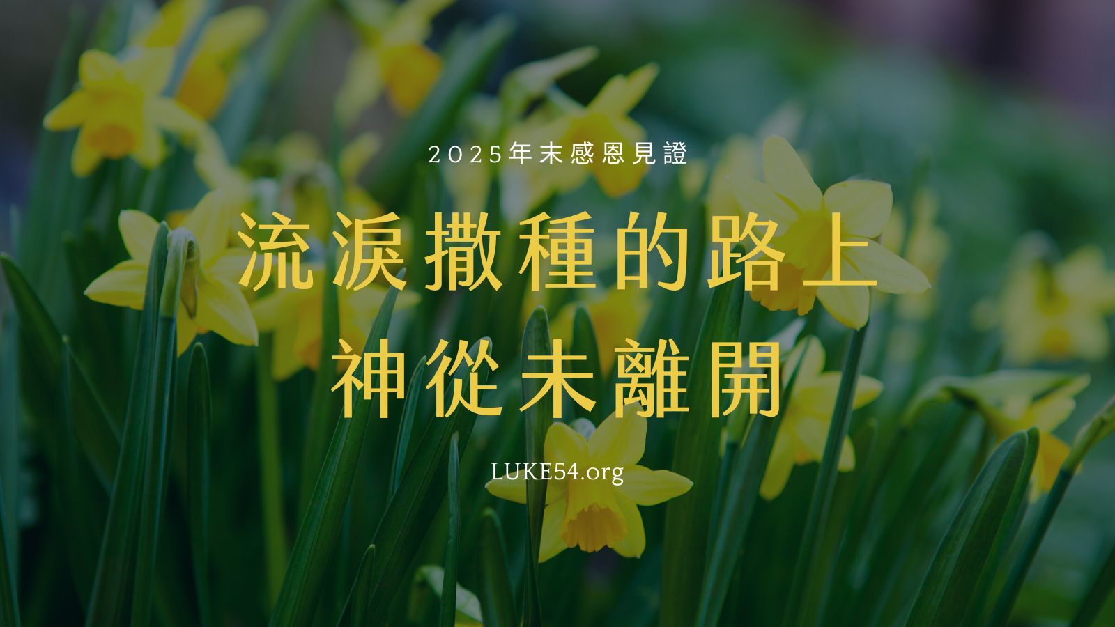 流淚撒種的路上，神從未離開。
